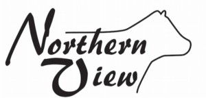 Northern View Angus