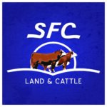 SFC Polled Herefords
